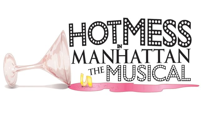 The Text Message Song from Hot Mess In Manhattan