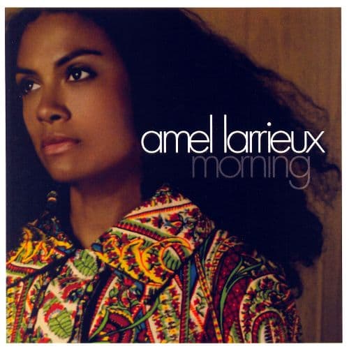 Make Me Whole from Amel Larrieux