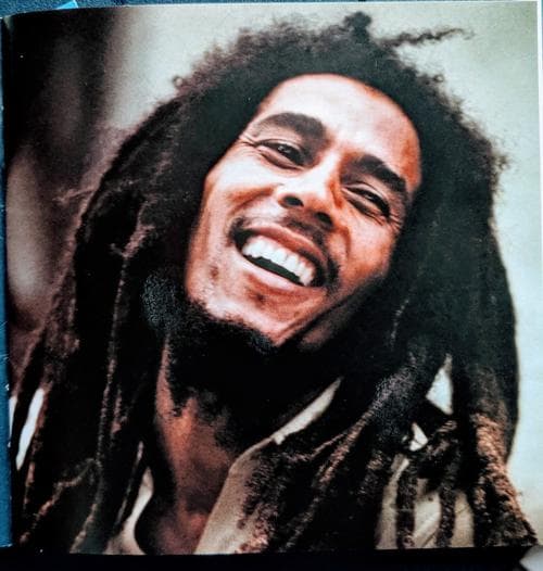 Don't Worry About A Thing - Three Little Birds from Bob Marley