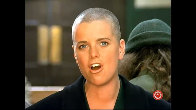 This Is Your Life from Banderas